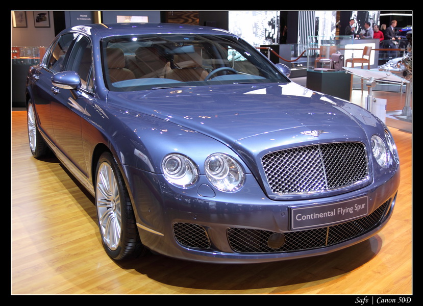 2008   10   Salon auto Paris   210